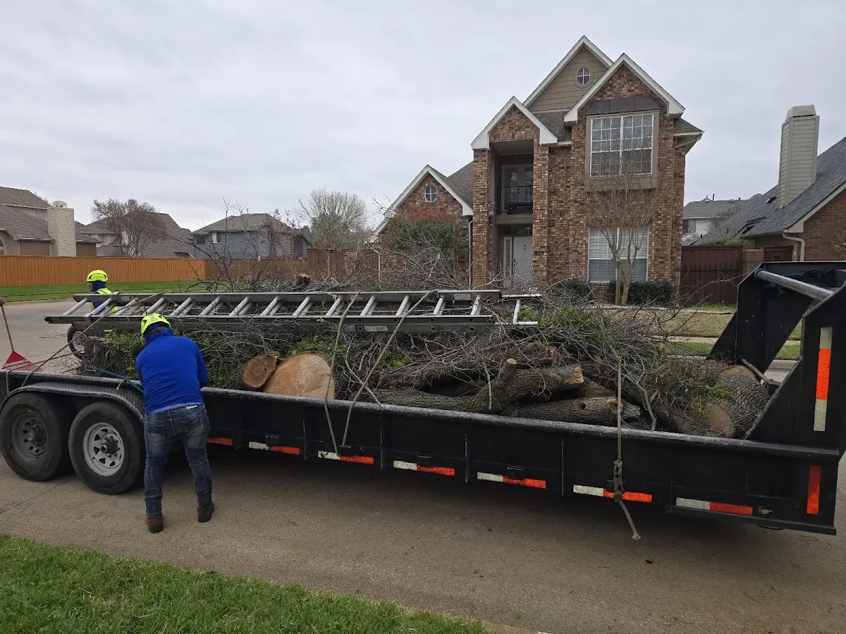 Expert Lot Clearing with proper safety equipment in North Woodstock